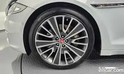 Jaguar XJ 2016 3.0 гидро в Москве № 305052, миниатюра 5