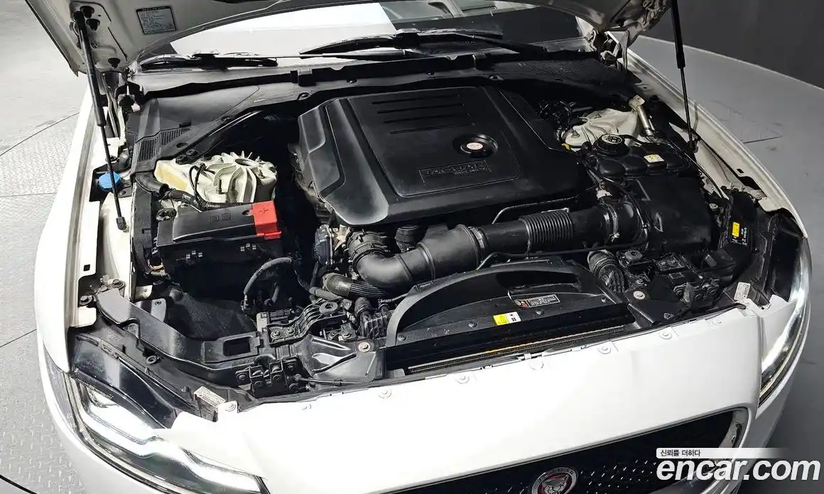 Jaguar XF 2016 2.0 гидро в Москве № 335853, фото 6