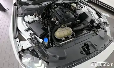Ford Mustang 2023 2.3 гидро в Москве № 767593, миниатюра 5