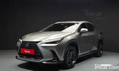 Lexus NX, 2023