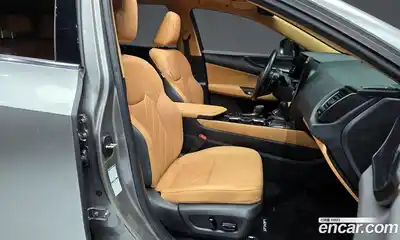 Lexus NX 2023 2.5 гидро в Москве № 1014436, миниатюра 11