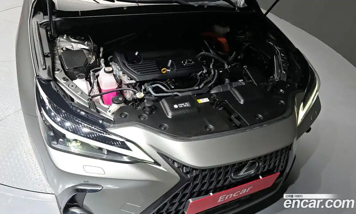 Lexus NX 2023 2.5 гидро в Москве № 1014436, фото 6