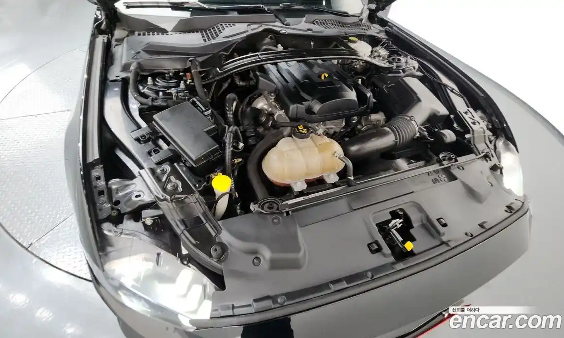 Ford Mustang 2019 2.3 гидро в Москве № 170798, фото 6