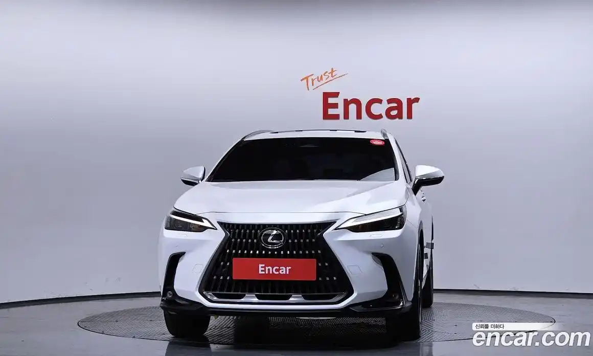 Lexus NX 2024 2.5 гидро в Москве № 766807, фото 3
