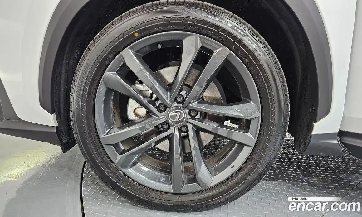 Lexus NX 2024 2.5 гидро в Москве № 766807, фото 5