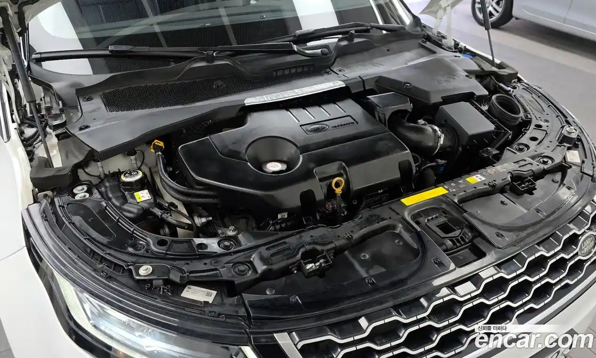 Land Rover Range-Rover Evoque 2019 2.0 гидро в Москве № 894838, фото 6