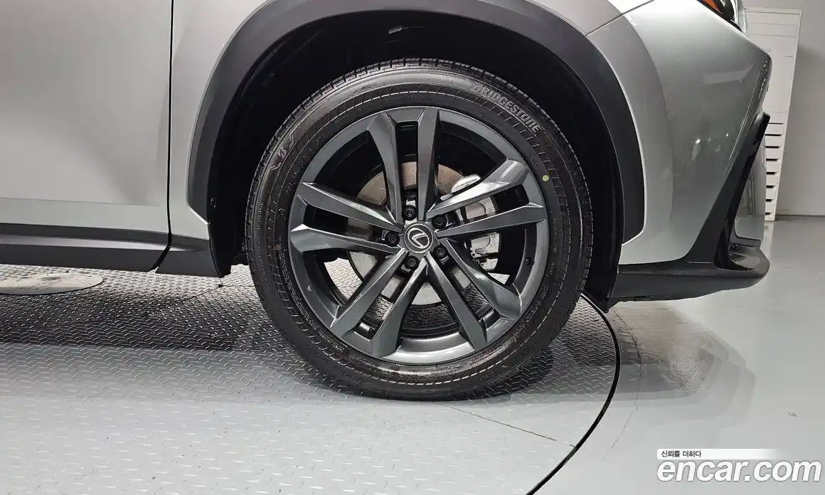 Lexus NX 2025 2.5 гидро в Москве № 168056, фото 5