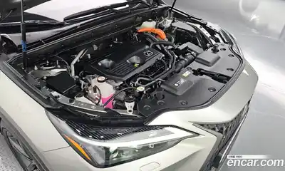 Lexus NX 2025 2.5 гидро в Москве № 168056, миниатюра 6
