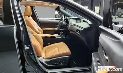 Lexus UX 2021 2.0 гидро в Москве № 168177, миниатюра 10