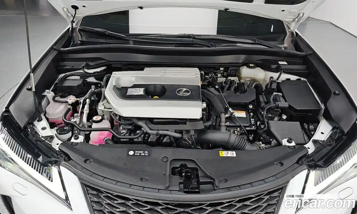 Lexus UX 2022 2.0 гидро в Москве № 198723, фото 6