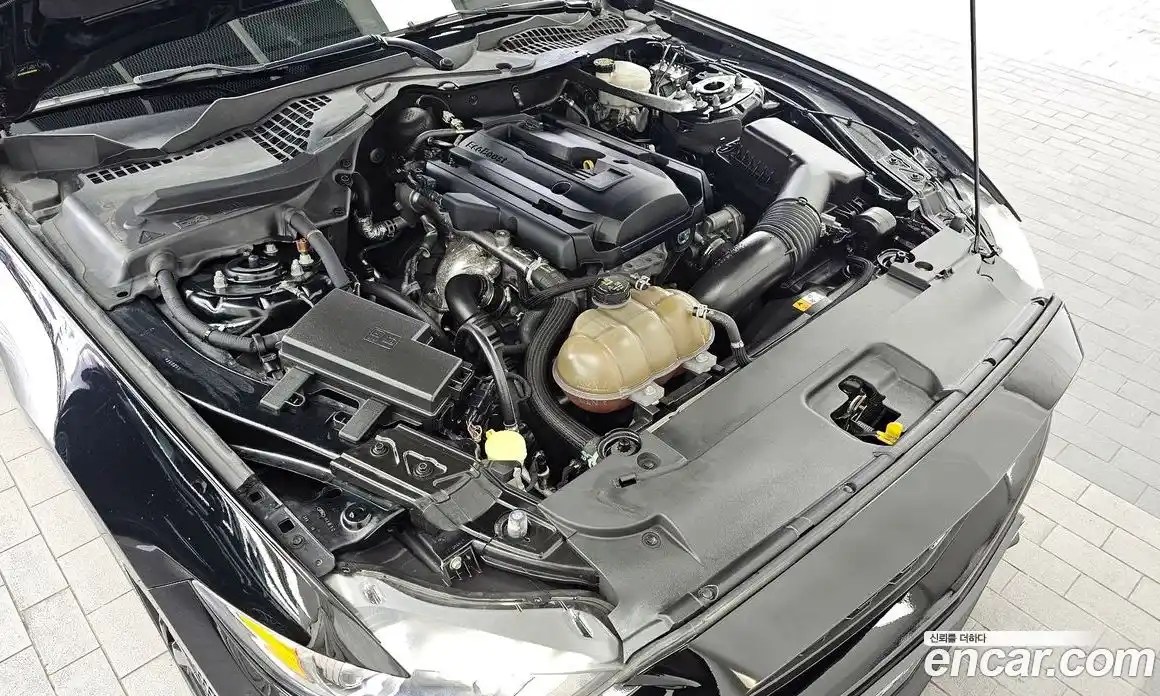 Ford Mustang 2016 2.3 гидро в Москве № 976283, фото 6