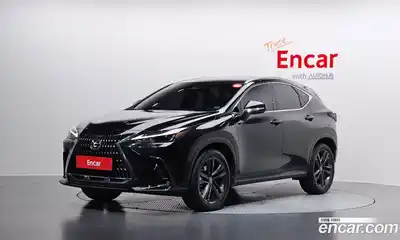 Lexus NX, 2025