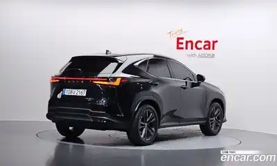 Lexus NX 2025 2.5 гидро в Москве № 1014392, миниатюра 2