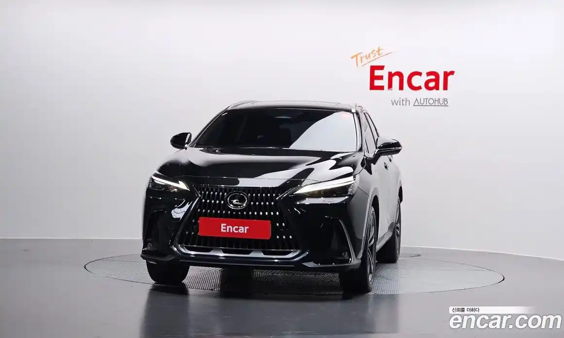 Lexus NX 2025 2.5 гидро в Москве № 1014392, фото 3