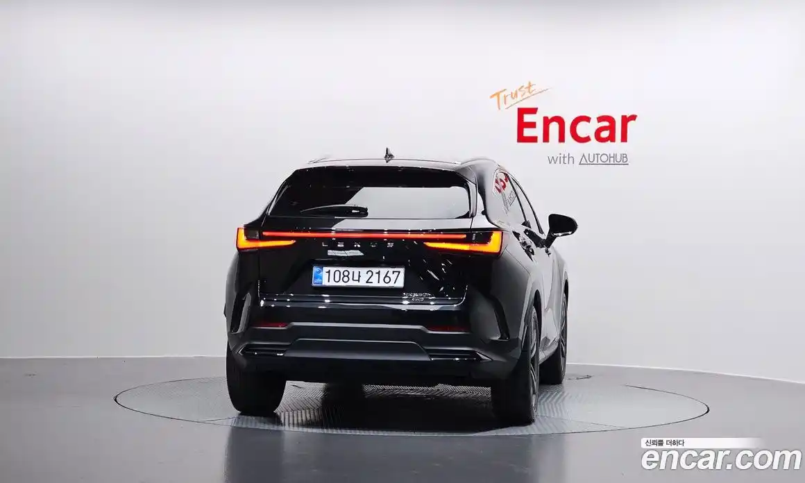 Lexus NX 2025 2.5 гидро в Москве № 1014392, фото 4