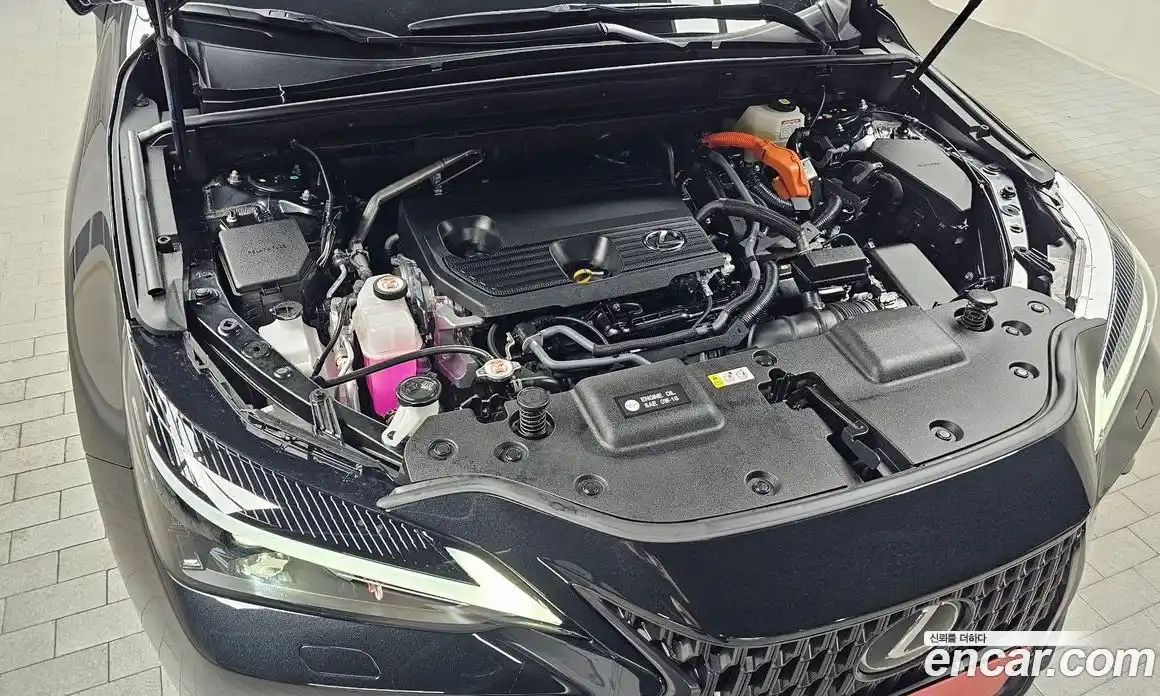 Lexus NX 2025 2.5 гидро в Москве № 1014392, фото 6