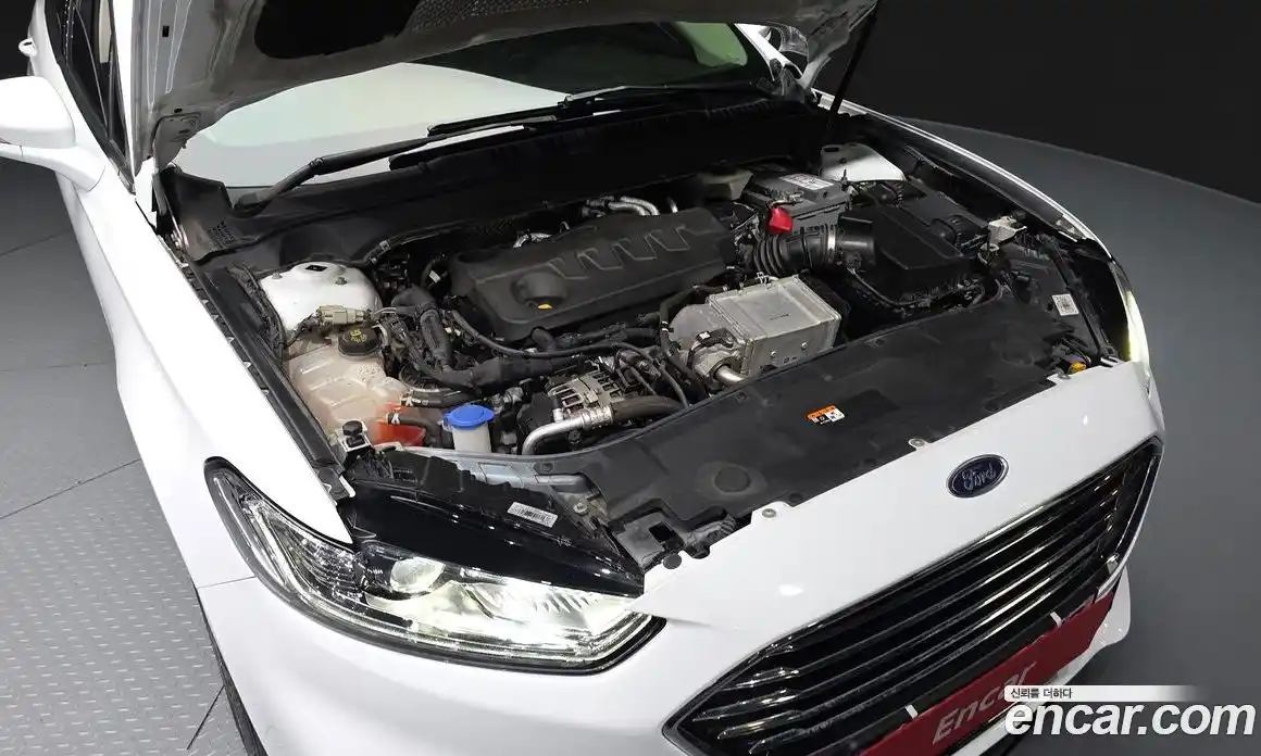 Ford Mondeo 2020 2.0 гидро в Москве № 1015538, фото 6