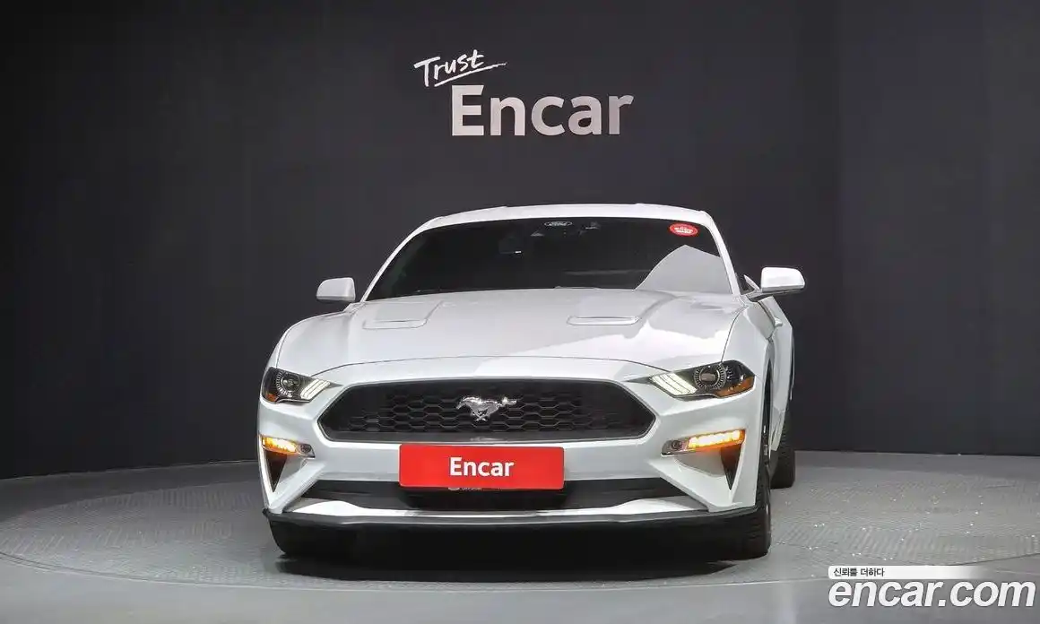 Ford Mustang 2023 2.3 гидро в Москве № 199753, фото 3