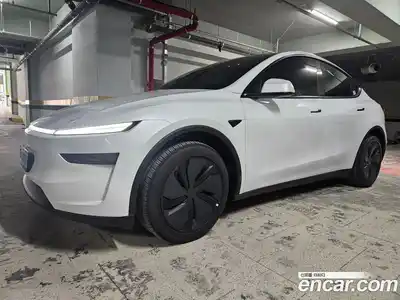 Tesla Model Y 2025 гидро в Москве № 231507, миниатюра 2