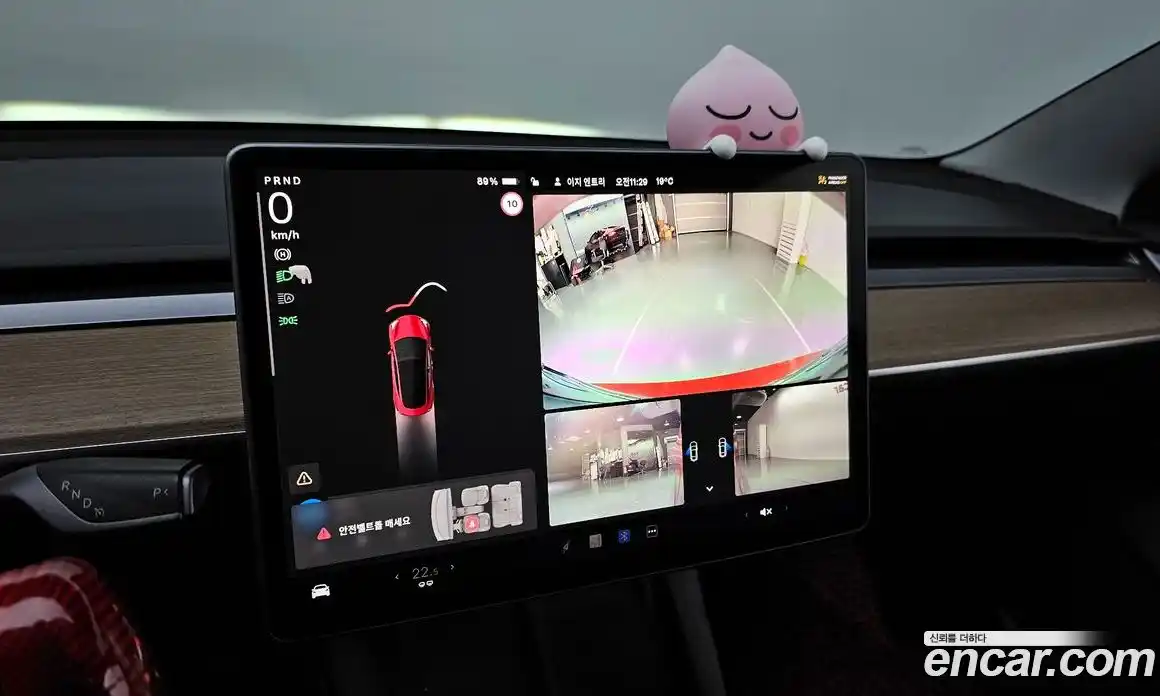 Tesla Model 3 2022 0.2 гидро в Москве № 231718, фото 15