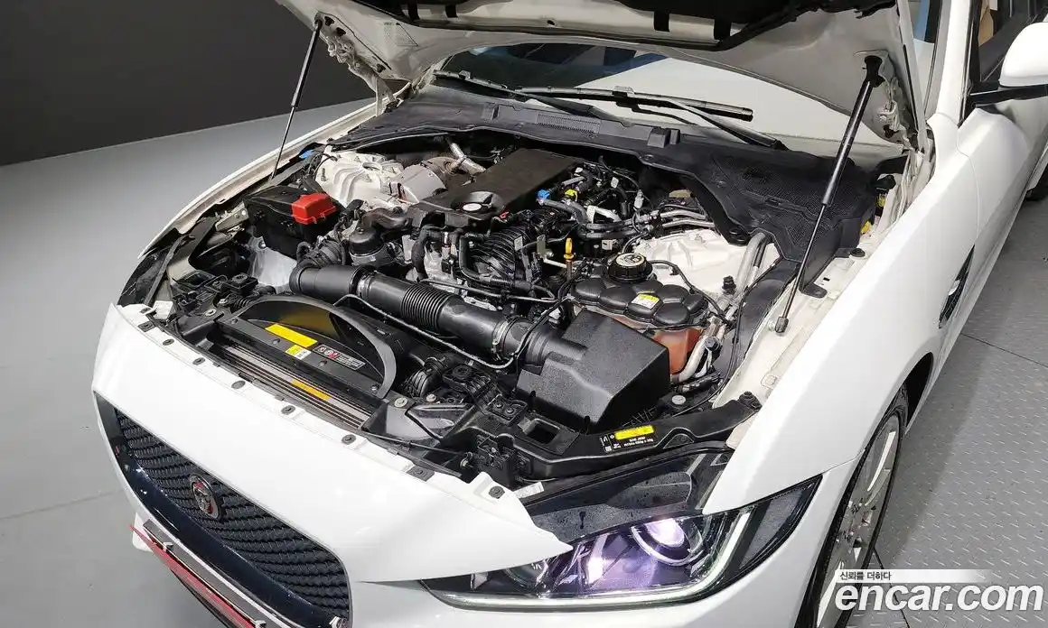 Jaguar XE 2016 2.0 гидро в Москве № 304959, фото 6