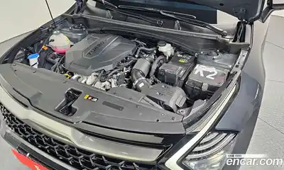 Kia Sportage 2024 2.0 гидро в Москве № 929167, миниатюра 6