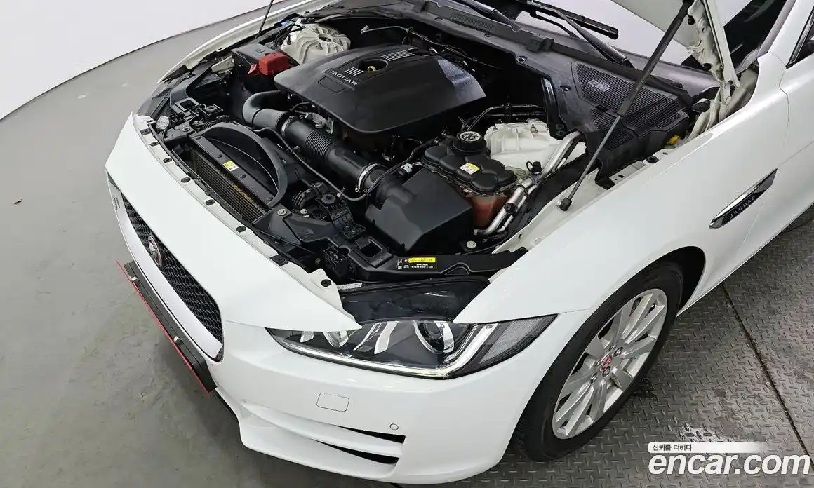 Jaguar XE 2015 2.0 гидро в Москве № 976502, фото 6