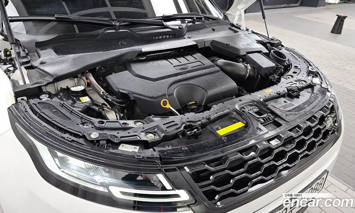 Land Rover Range-Rover Evoque 2023 2.0 гидро в Москве № 231104, фото 6