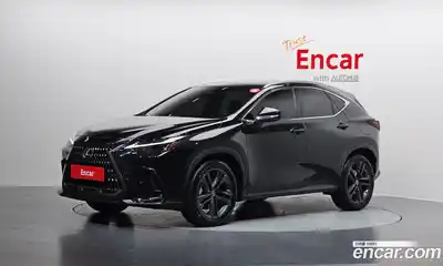 Lexus NX, 2024
