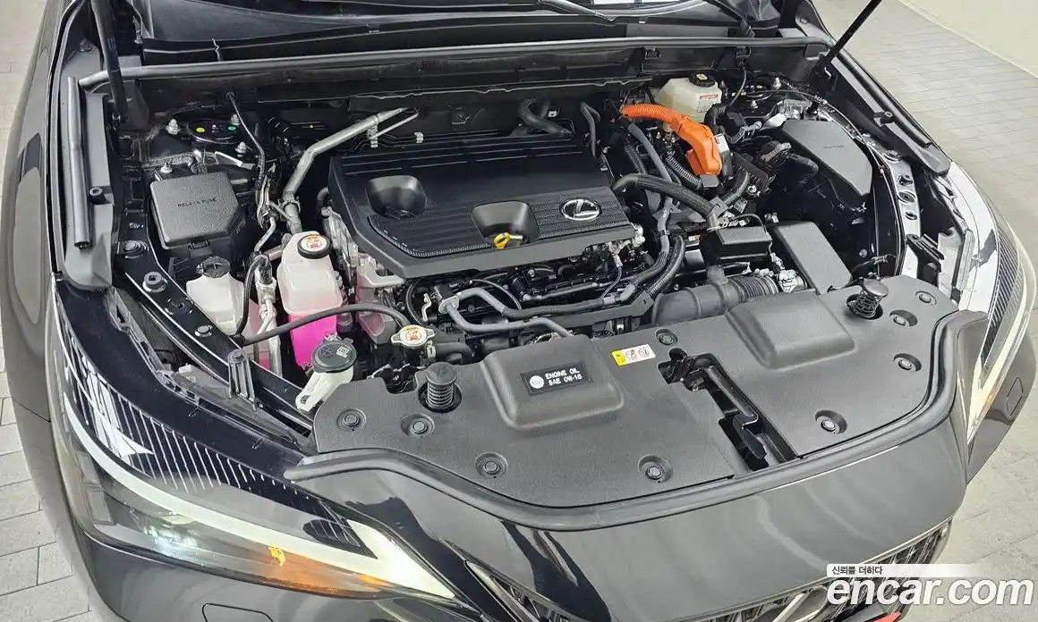 Lexus NX 2024 2.5 гидро в Москве № 253971, фото 6