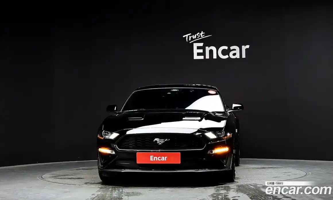 Ford Mustang 2023 2.3 гидро в Москве № 233169, фото 3