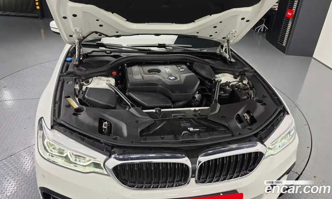 BMW 5-Series 2017 2.0 гидро в Москве № 968699, фото 6