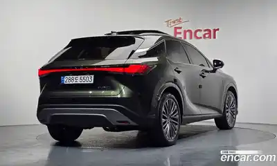 Lexus RX 2024 2.5 гидро в Москве № 198721, миниатюра 2