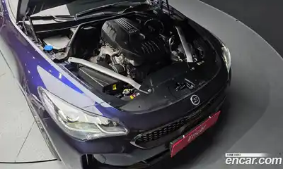 Kia Stinger 2019 2.0 Автомат в Москве № 1128984, миниатюра 6