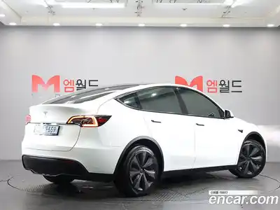 Tesla Model Y 2023 гидро в Москве № 1138591, миниатюра 3