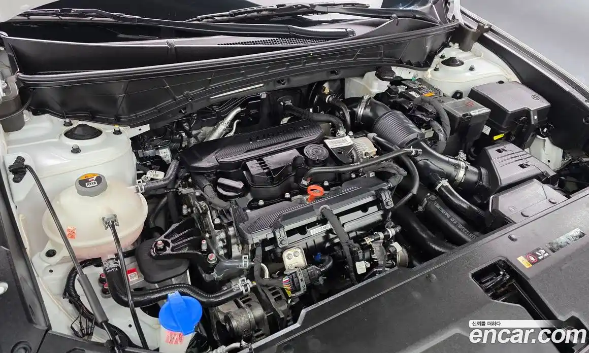 Hyundai Tucson 2024 1.6 гидро в Москве № 1141655, фото 6