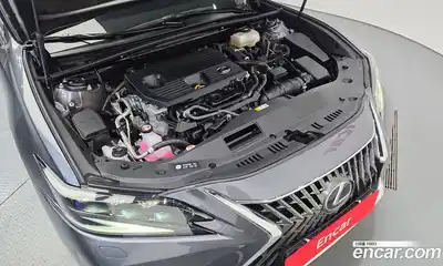 Lexus ES 2024 2.5 гидро в Москве № 1150721, миниатюра 6