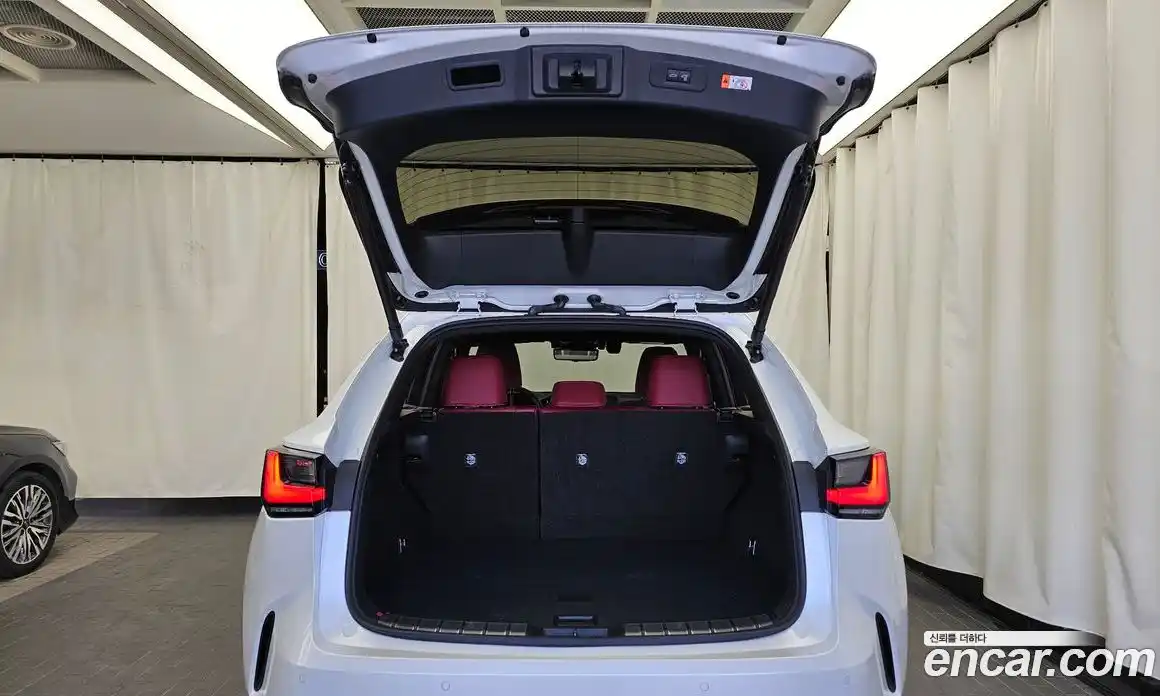 Lexus NX 2024 2.5 гидро в Москве № 1150593, фото 19