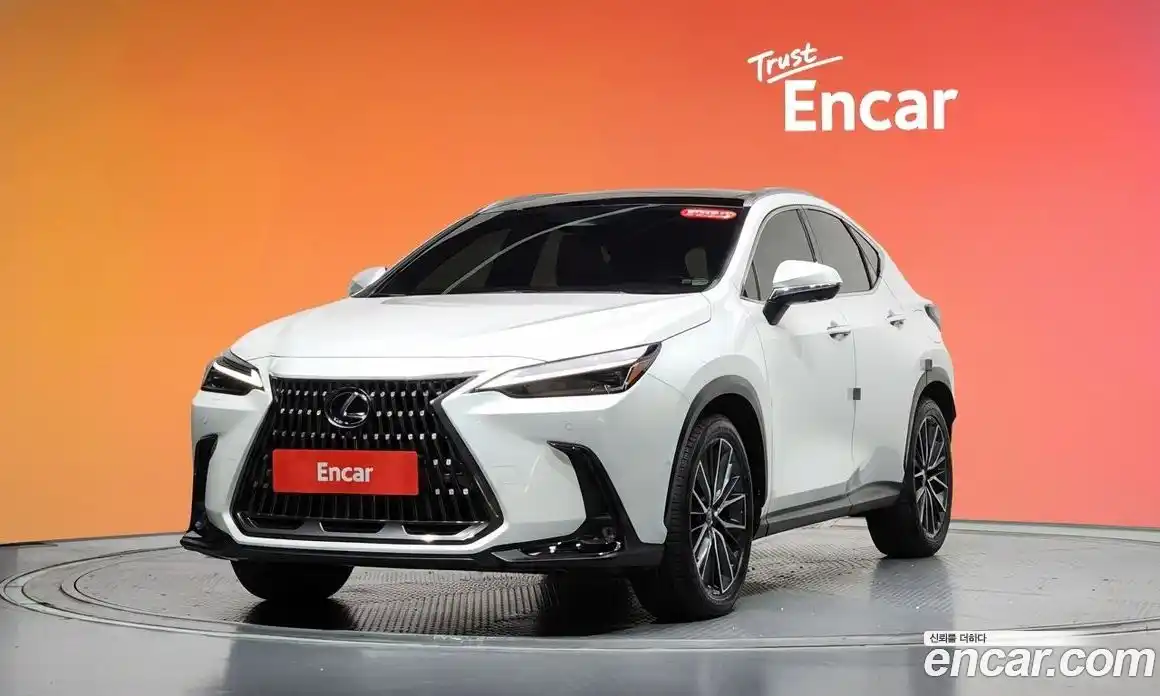 Lexus NX 2024 2.5 гидро в Москве № 1150593, фото 20