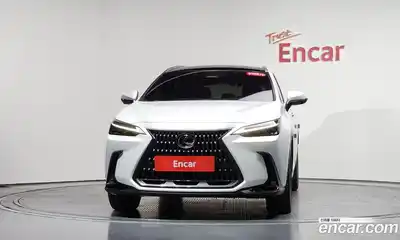 Lexus NX 2024 2.5 гидро в Москве № 1150593, миниатюра 2
