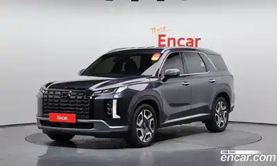 Hyundai Palisade Diesel 2.2 4WD Le Blanc