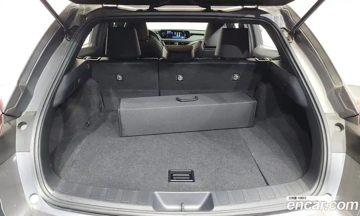 Lexus UX 2020 2.0 гидро в Москве № 1138746, фото 20
