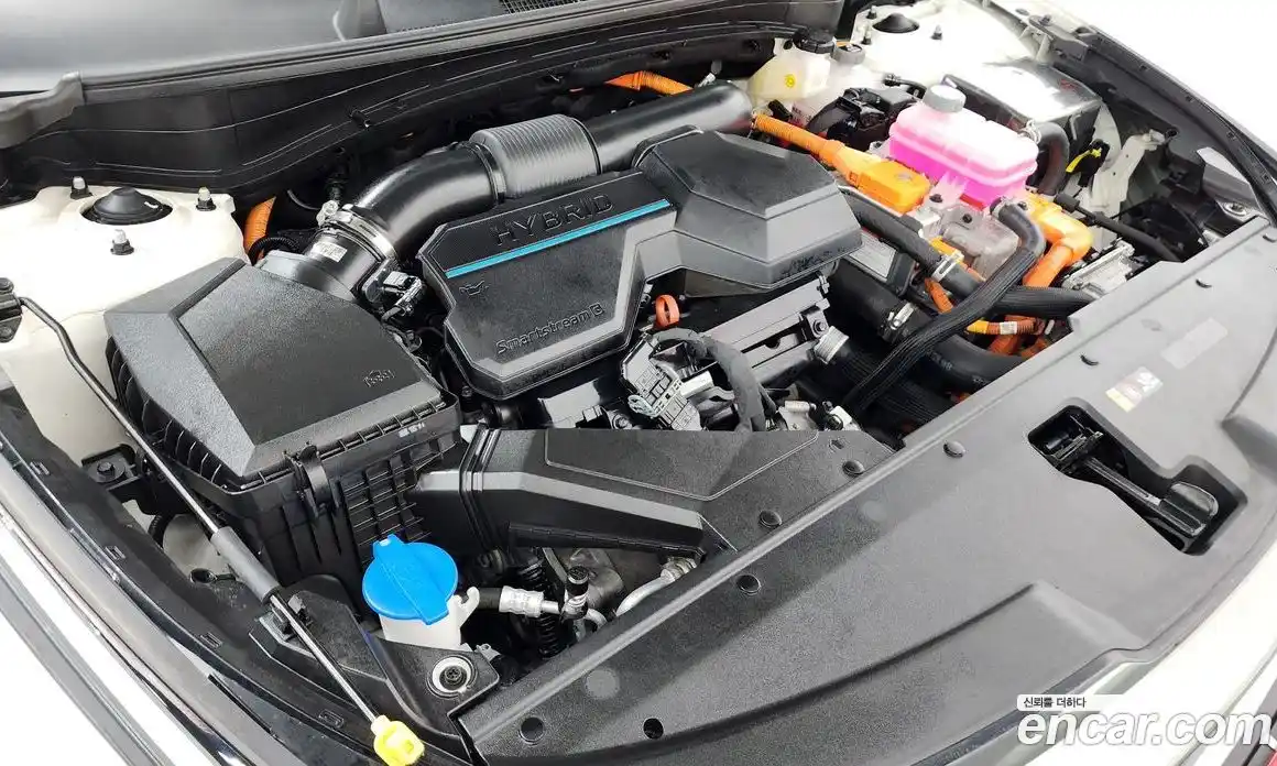 Kia Sportage 2023 1.6 гидро в Москве № 1128977, фото 6