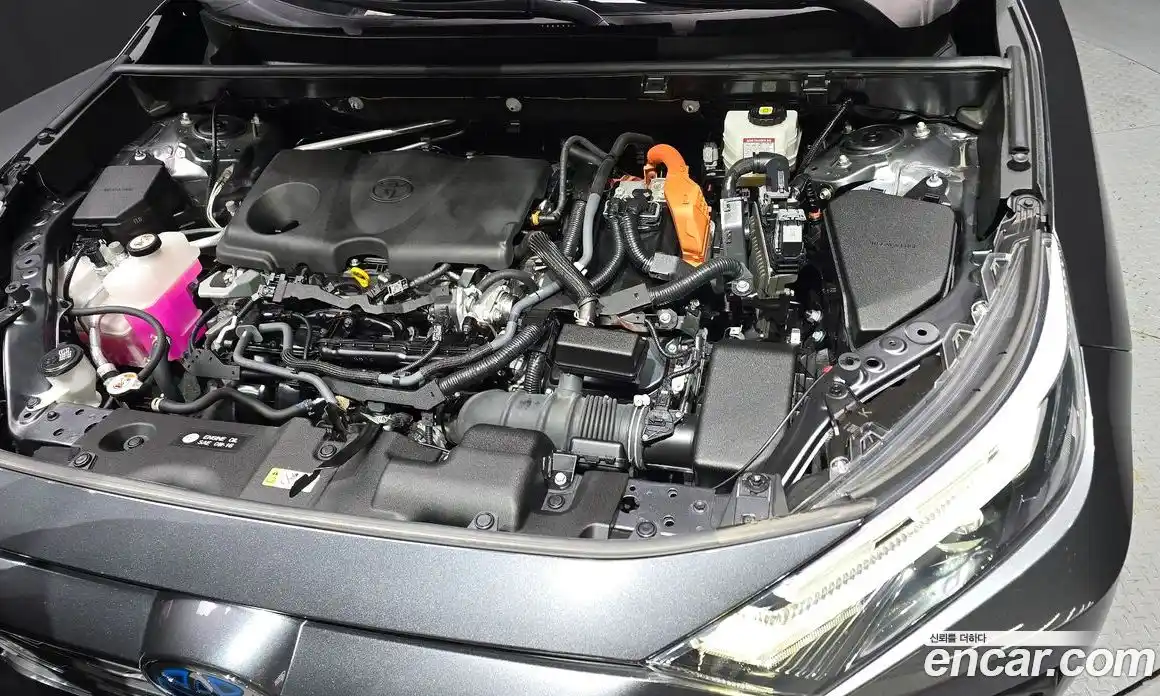 Toyota RAV4 2023 2.5 гидро в Москве № 1139353, фото 6