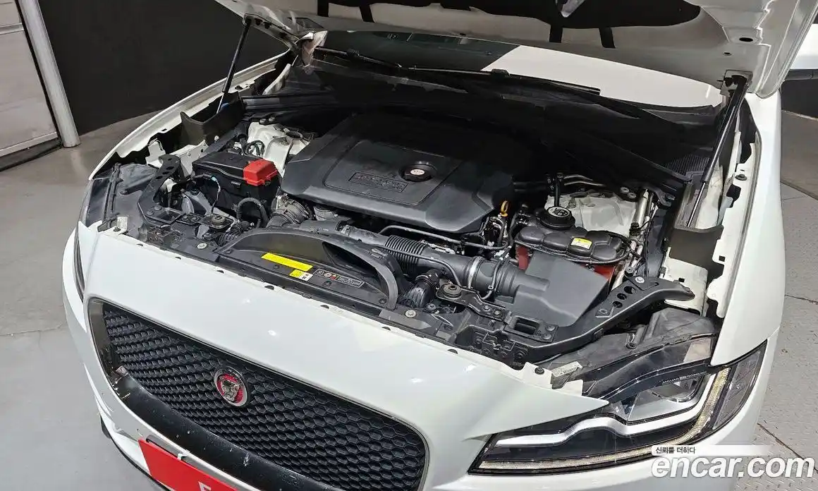 Jaguar F-Pace 2019 2.0 гидро в Москве № 1152539, фото 6