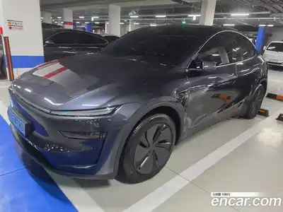 Tesla Model Y 2025 гидро в Москве № 1138574, миниатюра 2