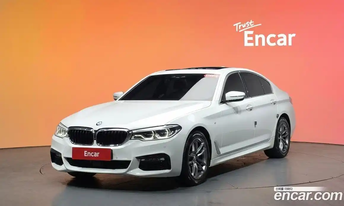 BMW 5-Series 2018 2.0 гидро в Москве № 1145499, фото 20