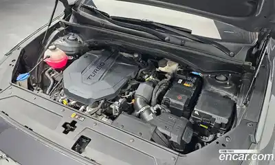 Hyundai Santa Fe 2020 2.2 гидро в Москве № 1142830, миниатюра 6