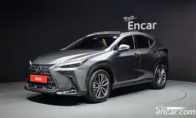 Lexus NX, 2024