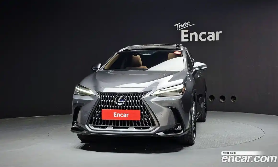 Lexus NX 2024 2.5 гидро в Москве № 1150713, фото 3